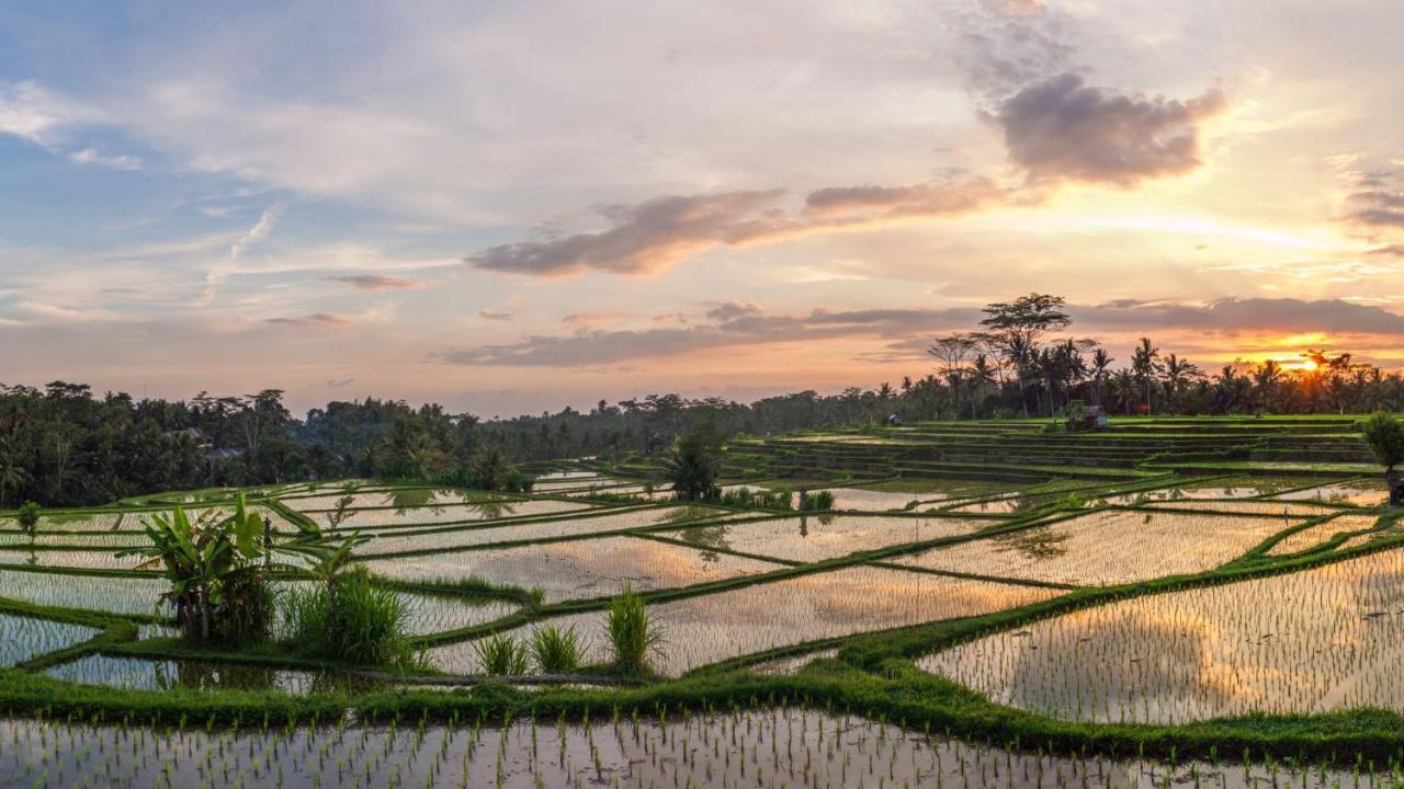 Stanagiri Villas Ubud Тегаллаланг Экстерьер фото